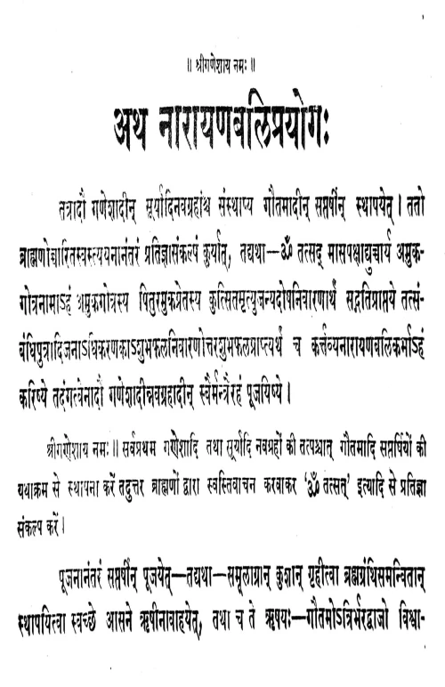 Narayanabali Prayoga